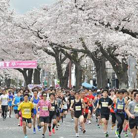 桜や桃、春の景色を楽しめる！4月のハーフマラソン