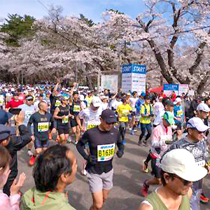 締切間近！　あおもり桜、いわて奥州きらめき、鹿沼さつき　他