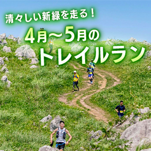 清々しい新緑を走る！4月～5月のトレイルラン