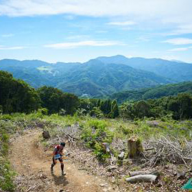 締切間近！　八戸うみねこ、佐渡トキ、あだち五色桜　他