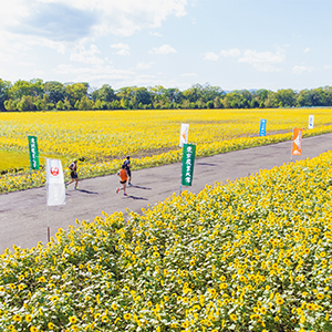 網走刑務所スタート！絶景とグルメ、おもしろエイドも楽しめる「オホーツク網走マラソン」エントリー開始