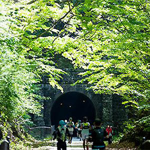 締切間近！　びえいヘルシーマラソン、富士忍野高原トレイルレース　ほか