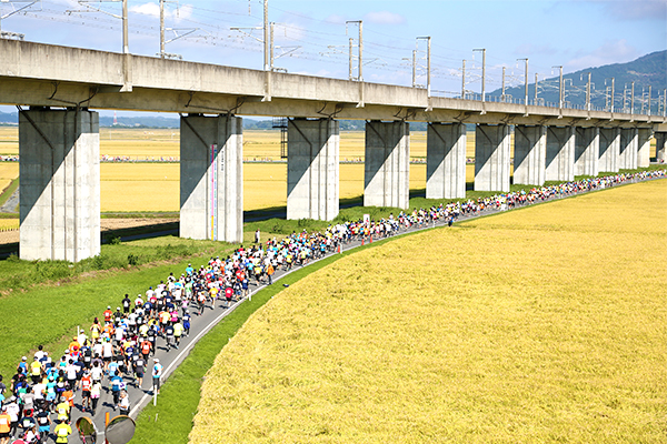 「大会レポ」総合評価91点！　黄金色の田園風景を楽しめる高速コース「一関国際ハーフマラソン」