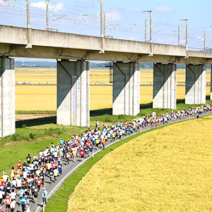 「大会レポ」総合評価91点！　黄金色の田園風景を楽しめる高速コース「一関国際ハーフマラソン」