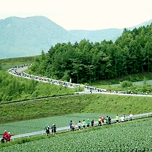 締切間近！　嬬恋高原キャベツマラソン、ベジタブルマラソンin立川