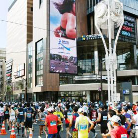 締切間近！　北海道マラソン、マウンテントレイル in 野沢温泉