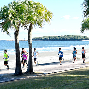 太平洋の絶景と高校生2500人の声援がパワーをくれる！「青島太平洋マラソン」