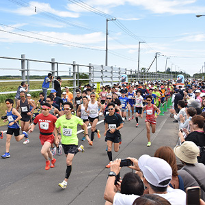締切間近！　稚内平和、手賀沼エコ、山形まるごと　他