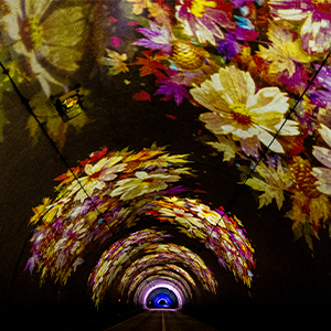 高級グルメ松阪牛と「トンネルイルミネーション」、城下町の風情ただよう「みえ松阪マラソン」