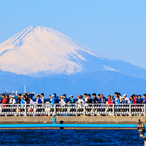 都心から日帰りできる新春のフル「館山若潮マラソン」エントリー開始！