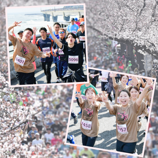 桜トンネルと太平洋の大海原、祭りも楽しめる！　日立さくらロードレース（4月5日開催）受付中