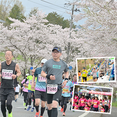 イチゴや桃ジュースのおもてなしが大好評！　伊達ももの里マラソンは4月12日開催