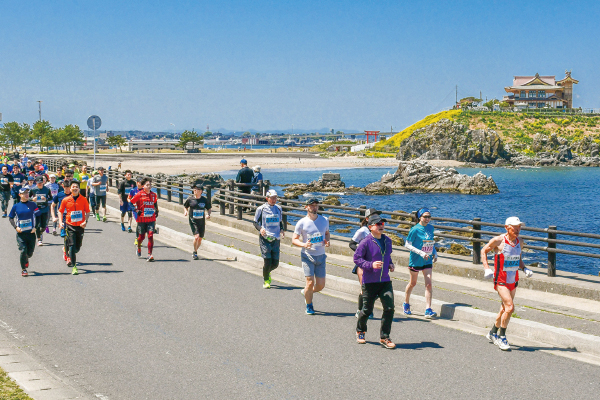 ウミネコが迎えてくれる絶景の海岸美とビックリするほどのお土産！「八戸うみねこマラソン全国大会」