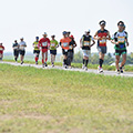 柴又100K～東京⇔埼玉⇔茨城の道～（エントリー締切：4月9日）