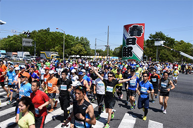 「日本一の大凧あげ」を全国に広めるために開催している本大会