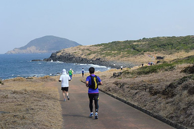 海、山と絶景を眺めながら走ります。アップダウンがあり、走り応えのあるコース