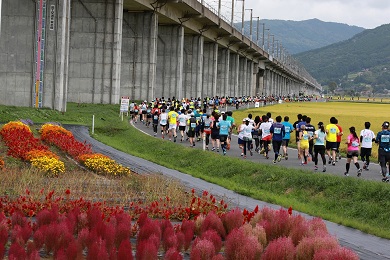 秋の実りと彩りを眺めながらRUN