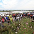 筑後川マラソン2018（エントリー締切：7月15日）