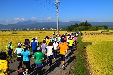 10kmマラソンのスタートは黄金の絨毯が美しい木島平