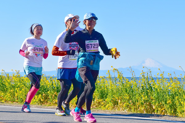 菜の花の黄色が眩しい！　うっすらと富士山も見える