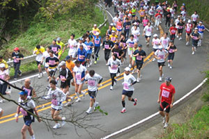 静岡の絶景を望む、日本平桜マラソン