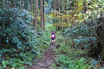 【トレイル】関東嵐山を走る！ 第2回御前山トレイルラン大会