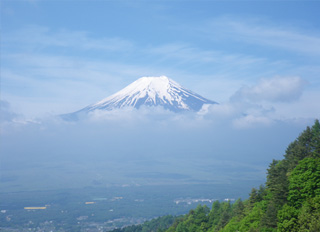 関東圏からのアクセスもよし、世界遺産の富士山の絶景も楽しめる