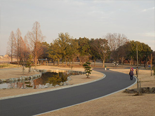 会場のつつじが岡公園。コースとなる「朝陽の小径」はウォーキングやランニングのメッカです