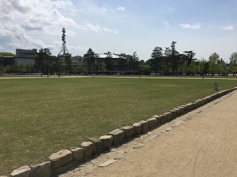 城山公園は綺麗な芝生が広がります