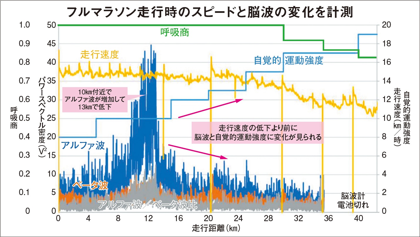 フルマラソン走行時のスピードと脳波の変化の計測グラフデータ
