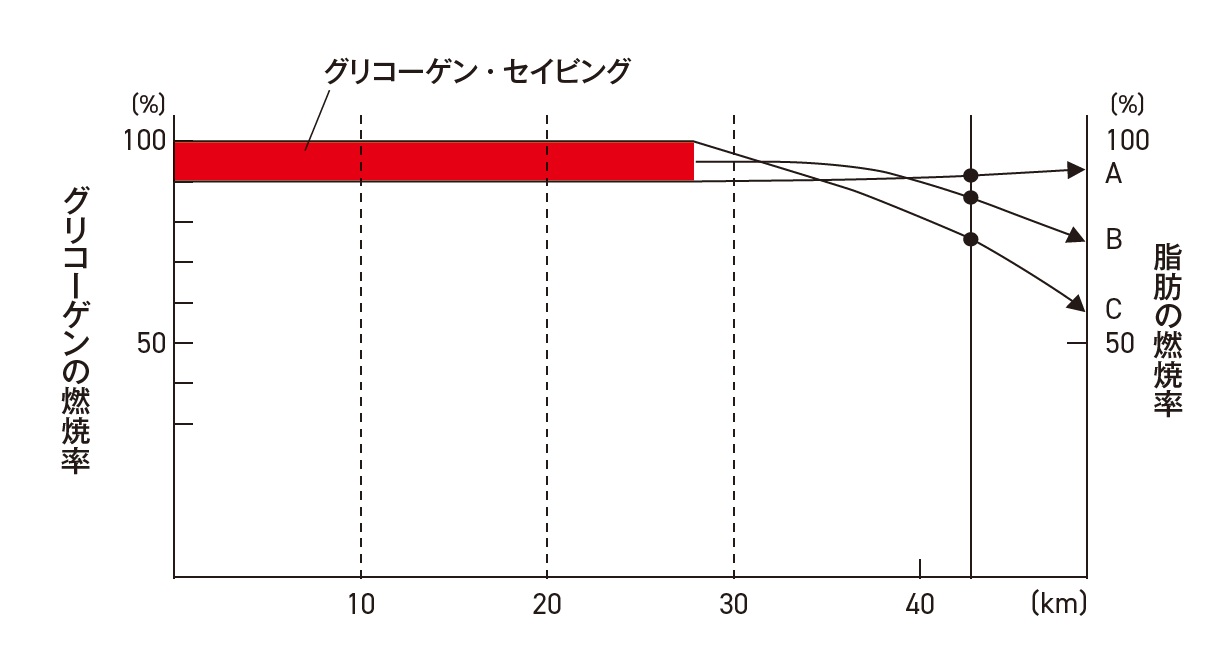 マラソン走行中のグリコーゲンと脂肪の燃焼効率
