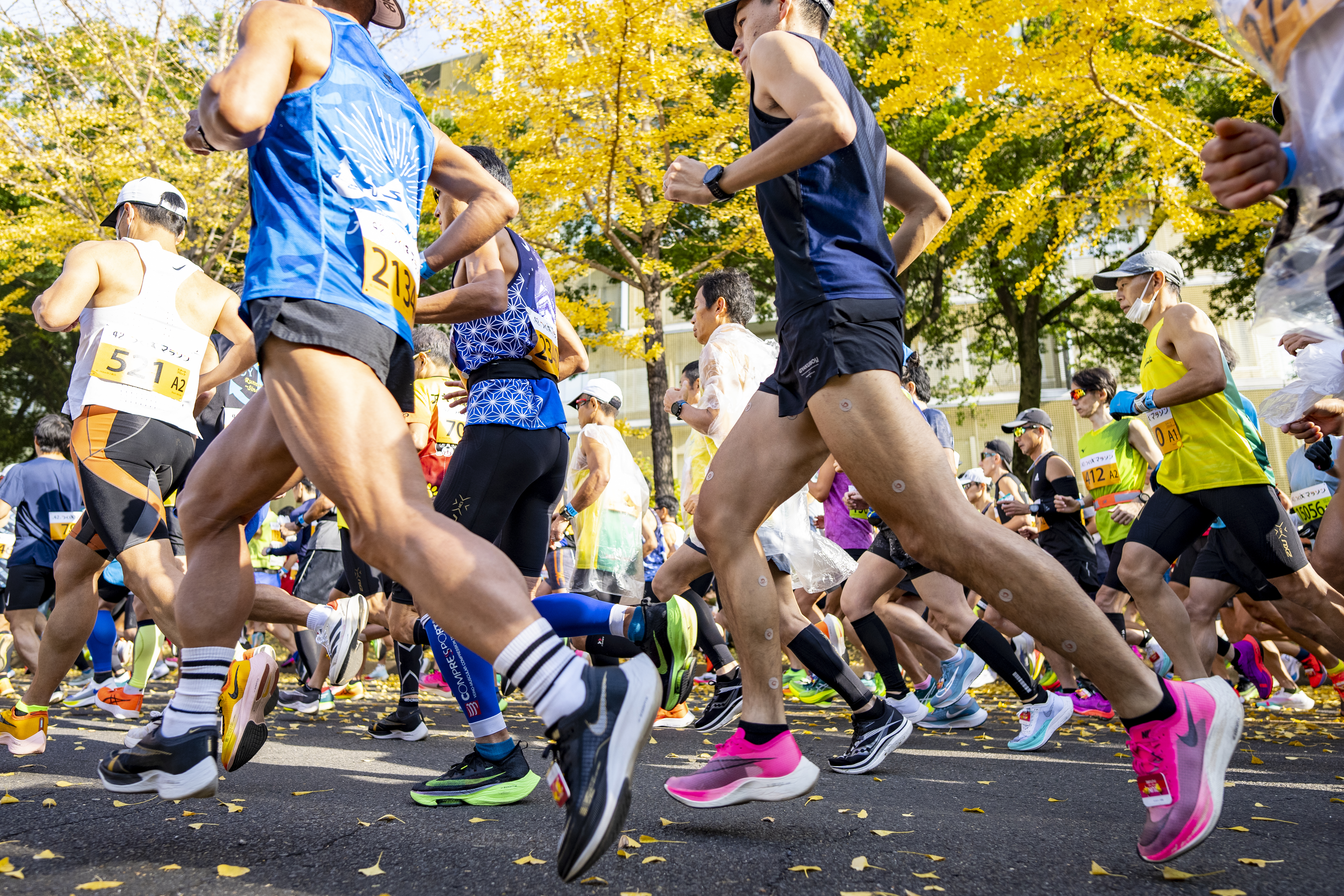 黄葉のなかを走るランナーたちの足元