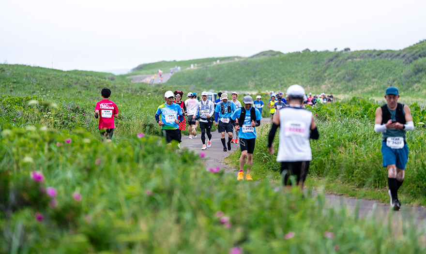 約80km～98kmのワッカ原生花園