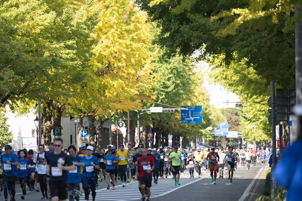 日本大通りでは紅葉の始まったイチョウ並木を通る