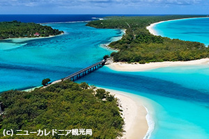 【知っ得】夏休みは、「天国にいちばん近い島」で、フルマラソンに挑戦