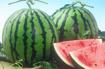 【知っ得】知ってる？血流促進が目標達成を後押しする！「シトルリン」に注目！!