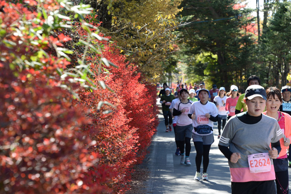 【軽井沢】例年この時期は紅葉が見頃です