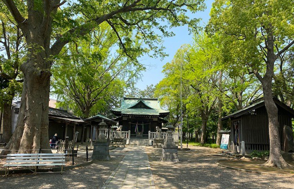 昨年は台風の影響で中止になった川崎国際多摩川マラソンの今年の開催と、新コロナの早期終息をスタート地点である等々力競技場横の神社で祈願！自宅から往復20キロラン。（TamaRunさん・神奈川県）