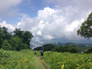 毛無山を過ぎた後の眺望。見晴らしがよい気持ちのよいコースです