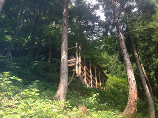 小菅神社奥社が見えてきました