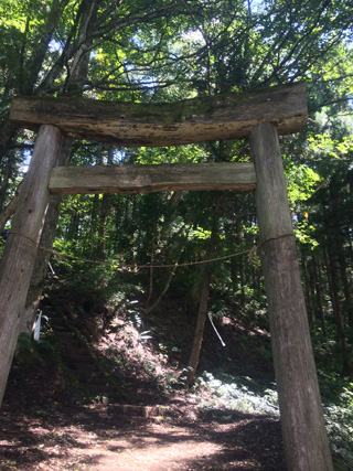 コース上にはこんな神社も！