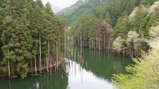 スタートして2、3kmくらいに見えた宮ヶ瀬湖は神秘的！