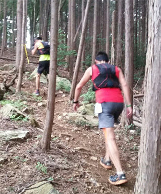 先は長い。激しい登りは慌てず歩きます