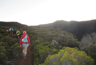 高いところで2,000m。標高によっても植生がどんどん変わる