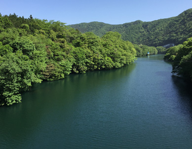 コース中に見える景色も変化に富んでいて目を楽しませてくれる