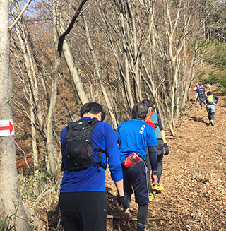 葉を落とした広葉樹林の道は明るく気持ちがいい