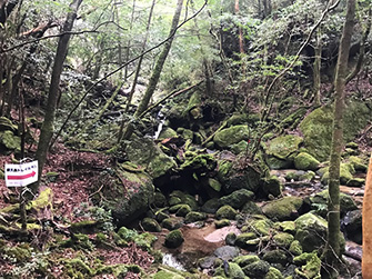 屋久島独特の苔むした森を進む。こうしてこのコースの最難関、吉田岳登山に向かう