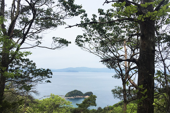 ふたつ目の山から若狭湾を望むすばらしい眺めに感激！