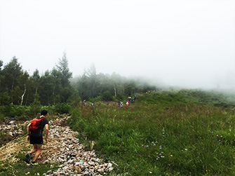 根子岳登山道。晴れていれば山頂が見えるが残念ながら雲の中