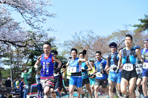 満開の桜咲く中、スタート！　初夏を思わせる暑さでした